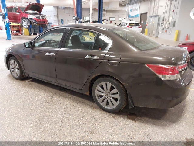 2011 Honda Accord Ex-l V6 მანქანა იყიდება აუქციონზე, vin: 1HGCP3F8XBA800178, აუქციონის ნომერი: 20247519