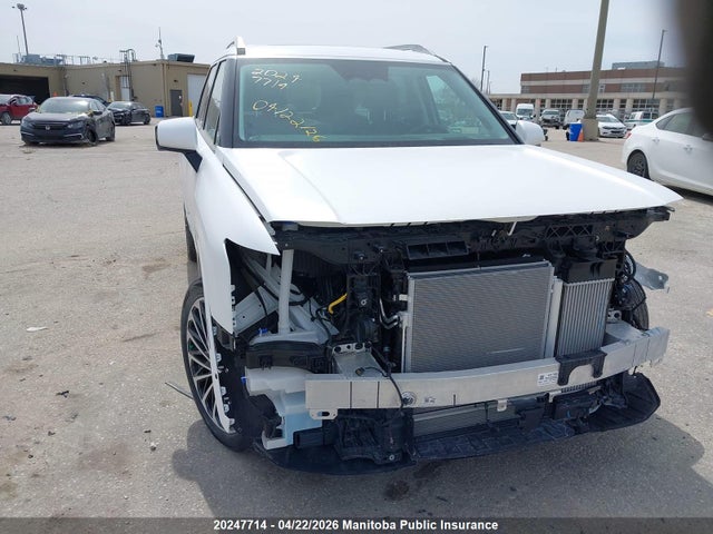 KM8RMESA0TU029781 Hyundai Palisade Ultimate Calligra Hev