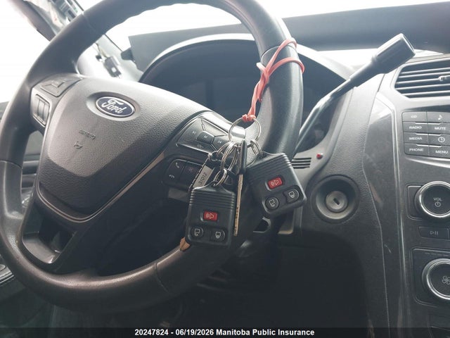 Продаж на аукціоні авто 2018 Ford Explorer Xlt, vin: 1FM5K8AR5JGC35607, номер лоту: 20247824