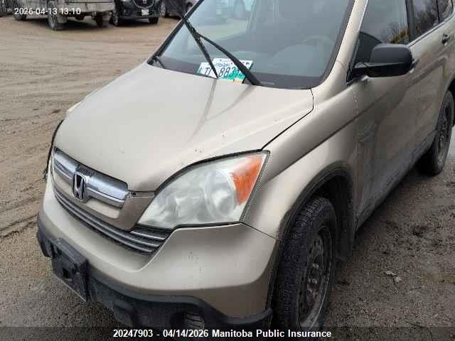 Продаж на аукціоні авто 2007 Honda Cr-v Ex, vin: 5J6RE48597L816790, номер лоту: 20247903