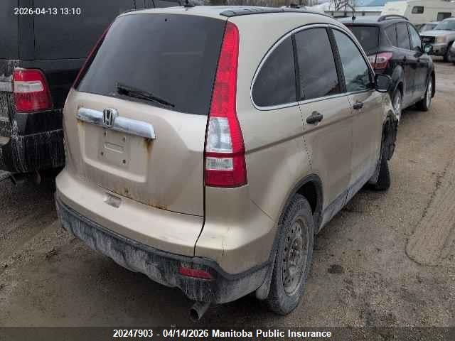 Продаж на аукціоні авто 2007 Honda Cr-v Ex, vin: 5J6RE48597L816790, номер лоту: 20247903