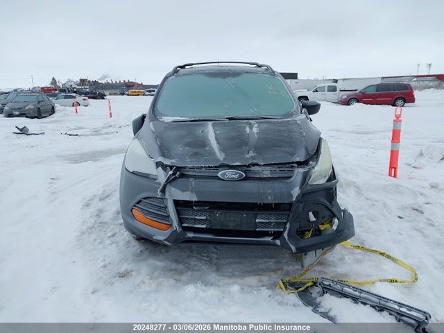 Aukcja sprzedaży 2015 Ford Escape S, vin: 1FMCU0F78FUA13307, numer aukcji: 20248277
