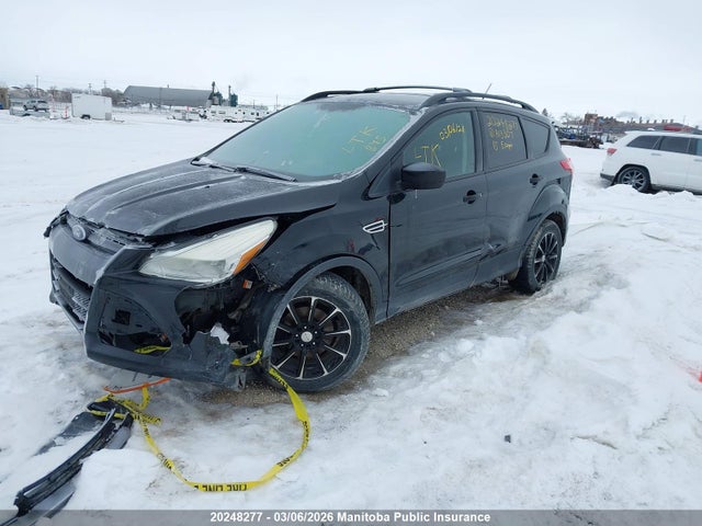 Aukcja sprzedaży 2015 Ford Escape S, vin: 1FMCU0F78FUA13307, numer aukcji: 20248277