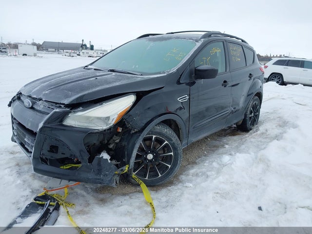 Aukcja sprzedaży 2015 Ford Escape S, vin: 1FMCU0F78FUA13307, numer aukcji: 20248277