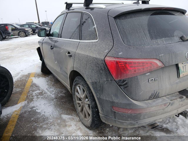 Aukcja sprzedaży 2010 Audi Q5 V6, vin: WA1LKCFP6AA055944, numer aukcji: 20248375