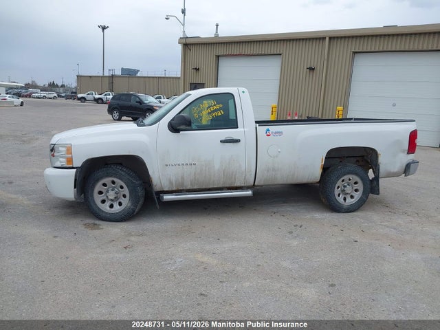 Aukcja sprzedaży 2010 Chevrolet Silverado 1500 Lt, vin: 1GCPCREA1AZ239923, numer aukcji: 20248731