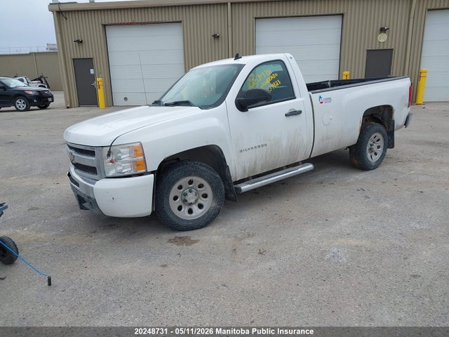 Aukcja sprzedaży 2010 Chevrolet Silverado 1500 Lt, vin: 1GCPCREA1AZ239923, numer aukcji: 20248731