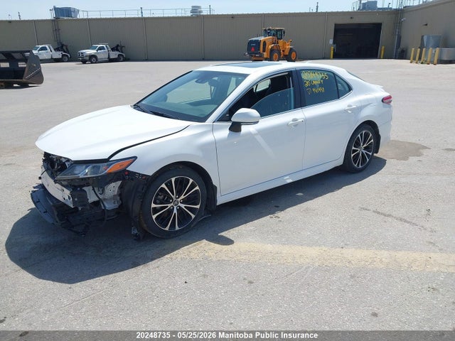 4T1J11AK4LU941497 Toyota CAMRY SE