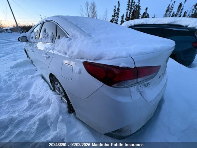 5NPE24AF1JH616885 Hyundai Sonata Sport