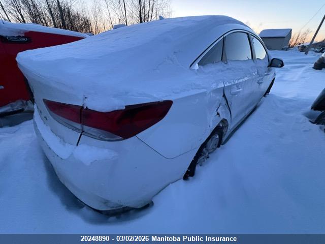 5NPE24AF1JH616885 Hyundai Sonata Sport