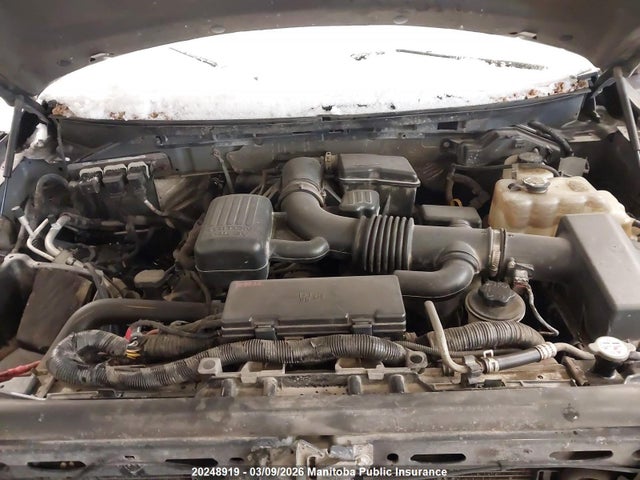 20248919 :رقم المزاد ، 1FTFW1EV9AFB19733 vin ، 2010 Ford F150 Fx4 Supercrew مزاد بيع