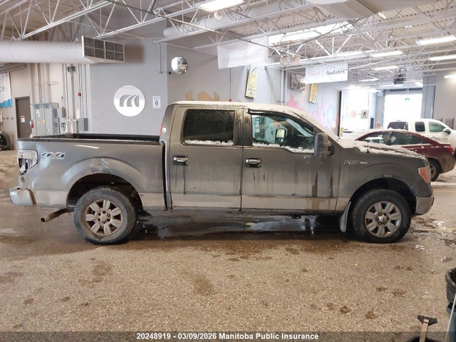 20248919 :رقم المزاد ، 1FTFW1EV9AFB19733 vin ، 2010 Ford F150 Fx4 Supercrew مزاد بيع