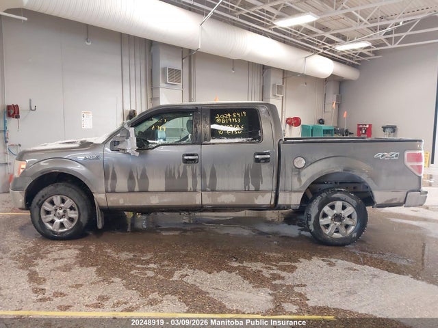 20248919 :رقم المزاد ، 1FTFW1EV9AFB19733 vin ، 2010 Ford F150 Fx4 Supercrew مزاد بيع