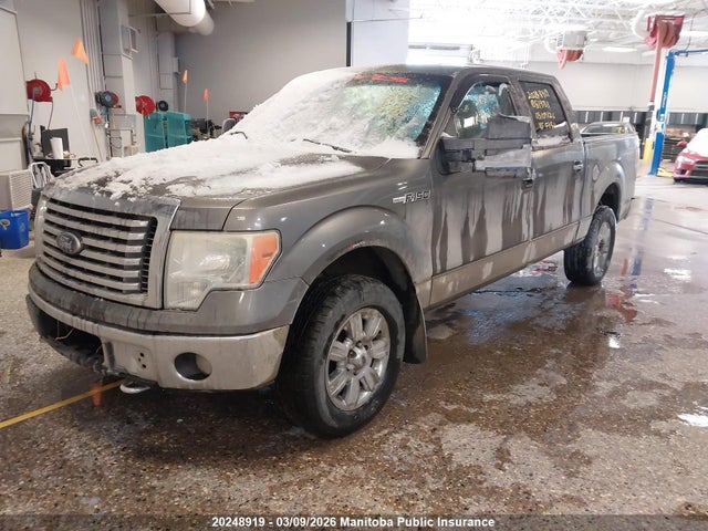 20248919 :رقم المزاد ، 1FTFW1EV9AFB19733 vin ، 2010 Ford F150 Fx4 Supercrew مزاد بيع