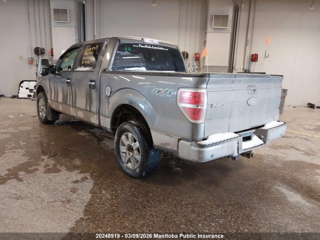 20248919 :رقم المزاد ، 1FTFW1EV9AFB19733 vin ، 2010 Ford F150 Fx4 Supercrew مزاد بيع