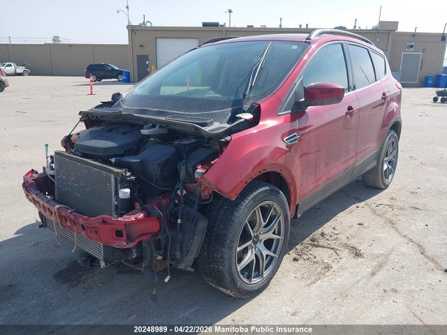 Продаж на аукціоні авто 2014 Ford Escape Se, vin: 1FMCU9G95EUD34269, номер лоту: 20248989