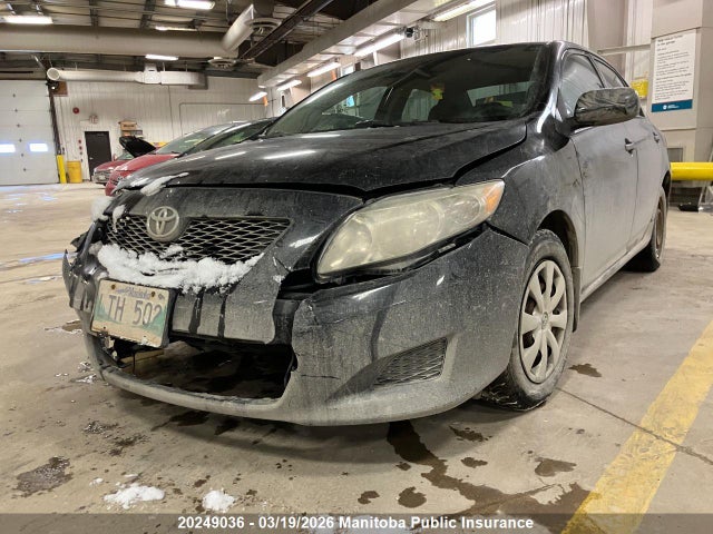 20249036 :رقم المزاد ، 2T1BU40E19C017067 vin ، 2009 Toyota Corolla Ce مزاد بيع