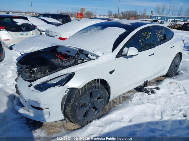 Продажа на аукционе авто 2023 Tesla Model 3 Long Range 75d, vin: LRW3E1EB3PC924405, номер лота: 20249117