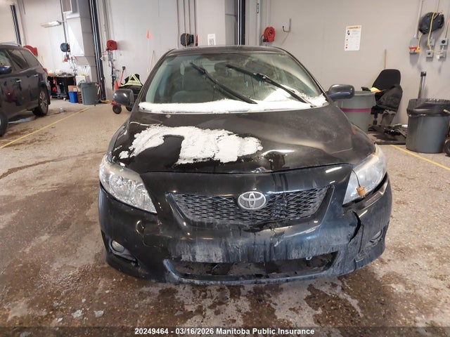2010 Toyota Corolla Le მანქანა იყიდება აუქციონზე, vin: 2T1BU4EE3AC194216, აუქციონის ნომერი: 20249464