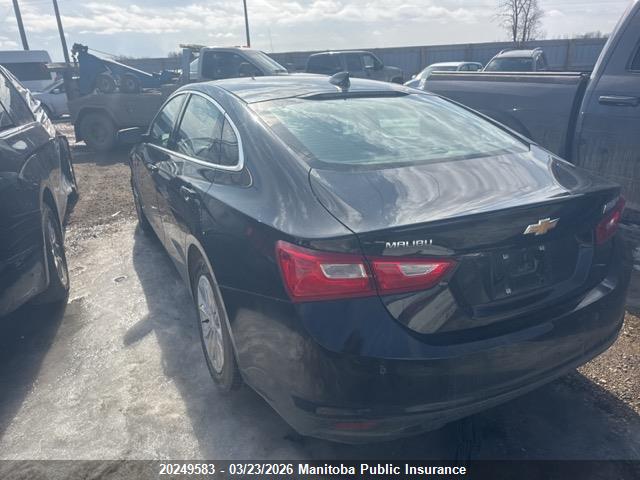 Продаж на аукціоні авто 2024 Chevrolet Malibu Lt, vin: 1G1ZD5ST7RF170844, номер лоту: 20249583