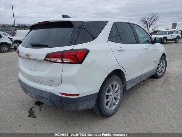 3GNAXSEG4PL188253 Chevrolet EQUINOX LS