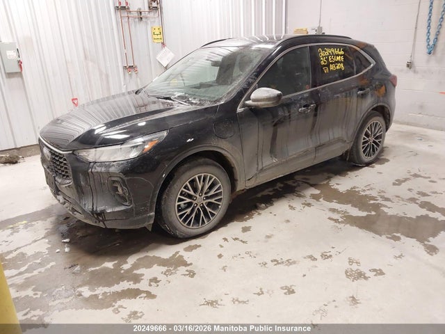 2025 Ford Escape Phev მანქანა იყიდება აუქციონზე, vin: 1FMCU0E17SUA13208, აუქციონის ნომერი: 20249666