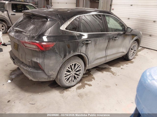 2025 Ford Escape Phev მანქანა იყიდება აუქციონზე, vin: 1FMCU0E17SUA13208, აუქციონის ნომერი: 20249666