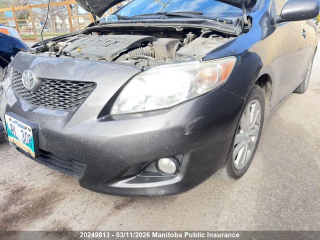 Продажа на аукционе авто 2009 Toyota Corolla Le, vin: 2T1BU40E49C088554, номер лота: 20249813