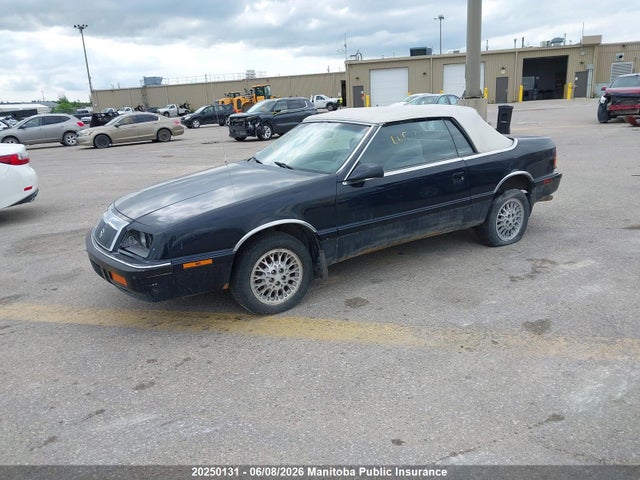 1995 Chrysler Le Baron Gtc მანქანა იყიდება აუქციონზე, vin: 1C3EU4539SF640555, აუქციონის ნომერი: 20250131