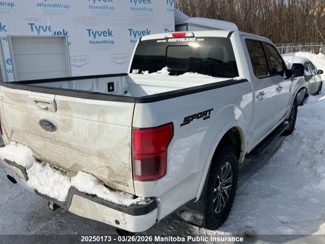20250173 :رقم المزاد ، 1FTEW1EPXKFB66770 vin ، 2019 Ford F-series مزاد بيع