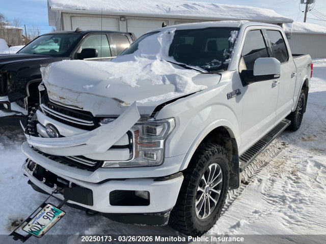20250173 :رقم المزاد ، 1FTEW1EPXKFB66770 vin ، 2019 Ford F-series مزاد بيع