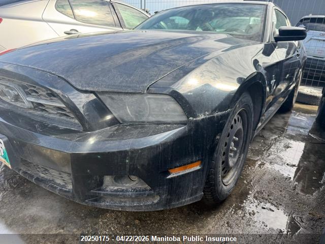 1ZVBP8AM3E5312292 Ford Mustang