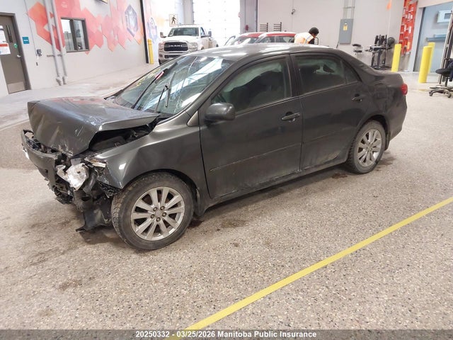 Aukcja sprzedaży 2009 Toyota Corolla Le, vin: 2T1BU40E69C081556, numer aukcji: 20250332