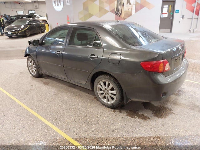 Aukcja sprzedaży 2009 Toyota Corolla Le, vin: 2T1BU40E69C081556, numer aukcji: 20250332