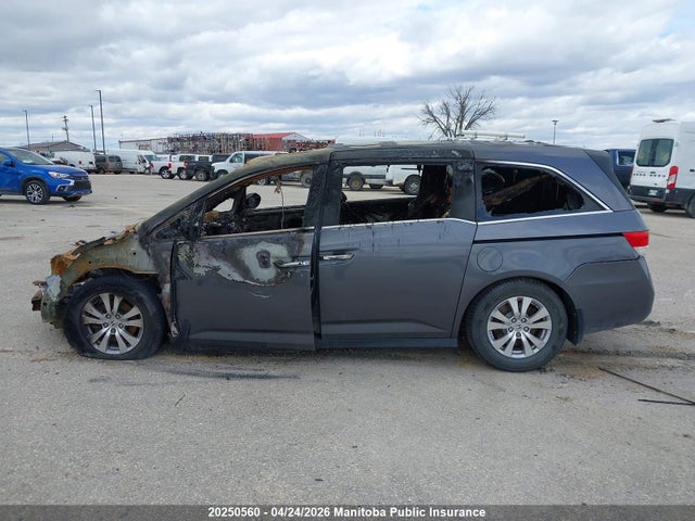 5FNRL5H6XHB501768 Honda Odyssey Ex-l