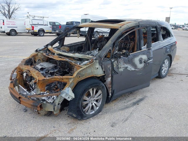 5FNRL5H6XHB501768 Honda Odyssey Ex-l