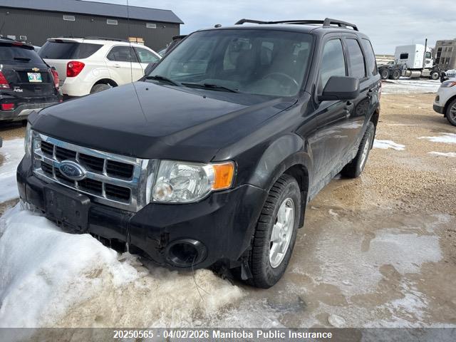 Продаж на аукціоні авто 2011 Ford Escape Xlt V6, vin: 1FMCU0DG4BKB93393, номер лоту: 20250565