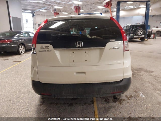2HKRM4H56EH128403 Honda CR-V EX