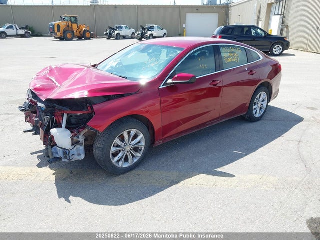 Aukcja sprzedaży 2023 Chevrolet Malibu Lt, vin: 1G1ZD5ST9PF203257, numer aukcji: 20250822