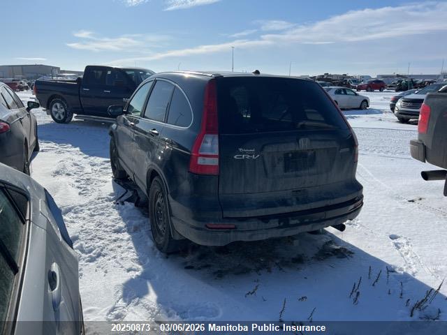 Продаж на аукціоні авто 2010 Honda Cr-v Lx, vin: 5J6RE4H30AL816778, номер лоту: 20250873