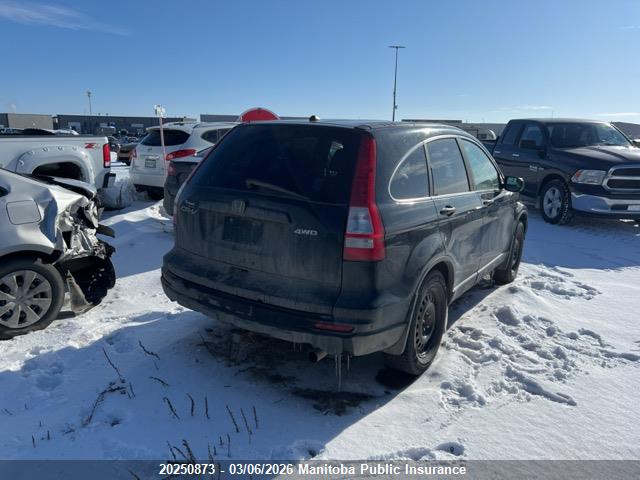 Продаж на аукціоні авто 2010 Honda Cr-v Lx, vin: 5J6RE4H30AL816778, номер лоту: 20250873