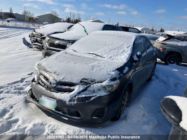 20251065 :رقم المزاد ، 2T1BU4EE5DC954456 vin ، 2013 Toyota Corolla مزاد بيع