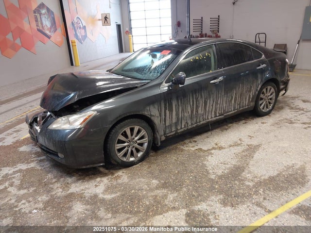 20251075 :رقم المزاد ، JTHBJ46G572010070 vin ، 2007 Lexus Es 350 350 مزاد بيع