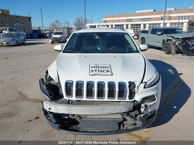 20251114 :رقم المزاد ، 1C4PJMCS9HW631189 vin ، 2017 Jeep Cherokee North مزاد بيع