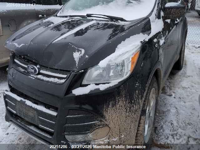 1FMCU0G73GUB41499 Ford ESCAPE SE