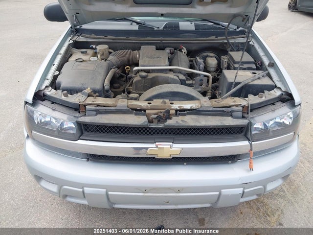 2007 Chevrolet Trailblazer Ls მანქანა იყიდება აუქციონზე, vin: 1GNDT13S172211192, აუქციონის ნომერი: 20251403