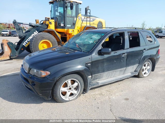 Auction sale of the 2005 Bmw X5 4.8is, vin: 5UXFA93595LE82364, lot number: 20251455