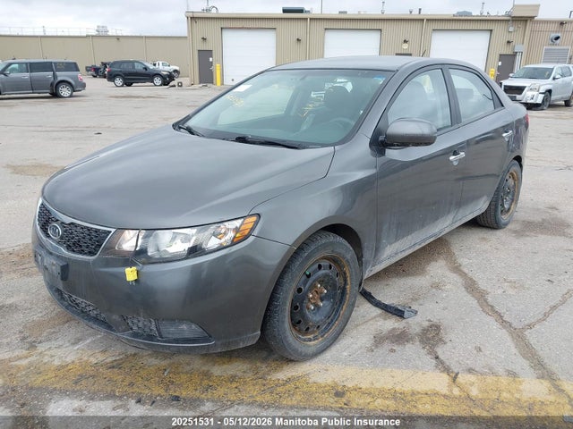 Продаж на аукціоні авто 2013 Kia Forte Ex, vin: KNAFU4A29D5731506, номер лоту: 20251531