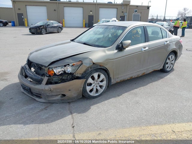 Aukcja sprzedaży 2009 Honda Accord Ex-l V6, vin: 1HGCP36819A800886, numer aukcji: 20251550