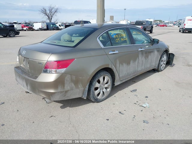 Aukcja sprzedaży 2009 Honda Accord Ex-l V6, vin: 1HGCP36819A800886, numer aukcji: 20251550